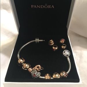 Sterling Silver Pandora Charm Bracelet